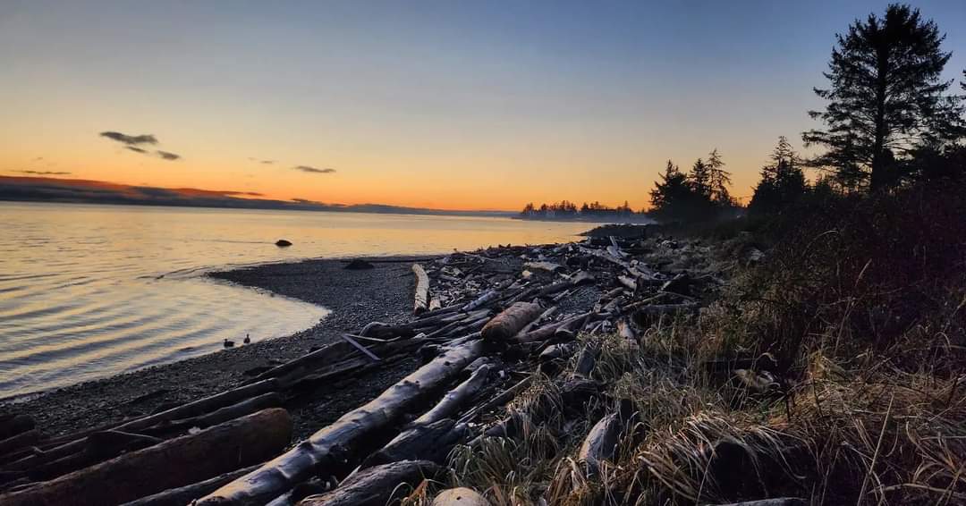 Golden-hour beach with driftwood near Campbell River